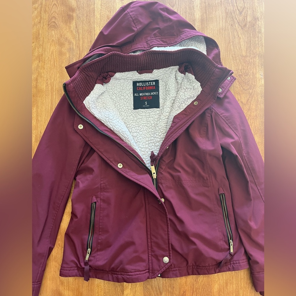 Hollister Hooded Winter Jacket